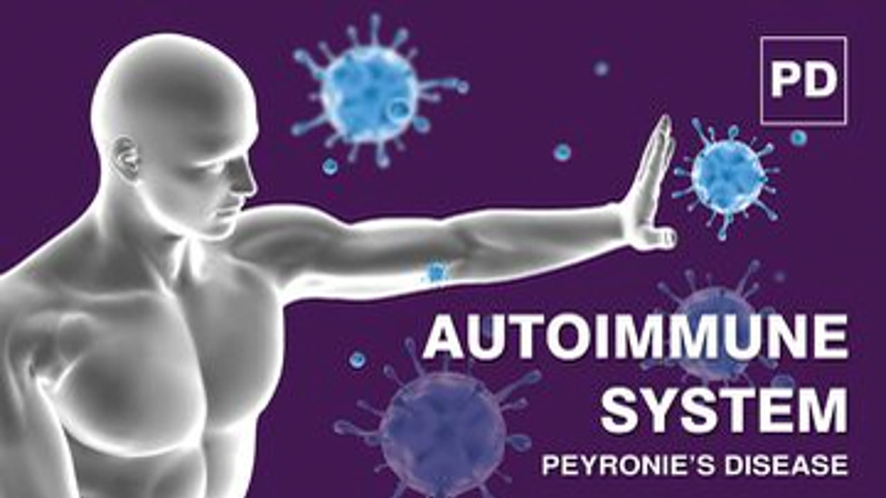 Autoimmune System and Peyronies Disease