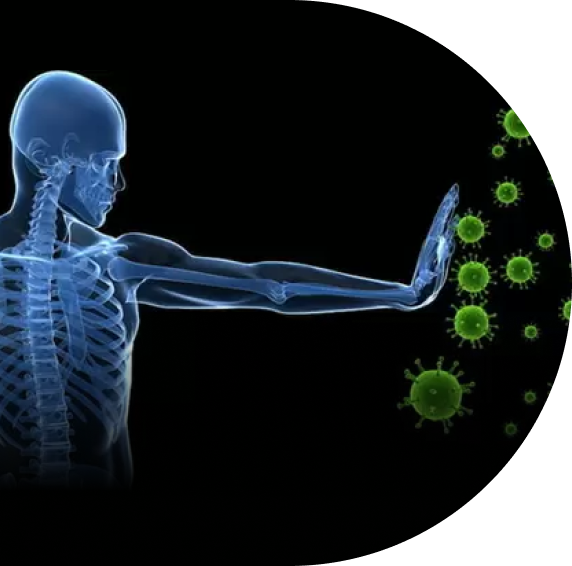 Peyronie’s Disease & The Autoimmune System